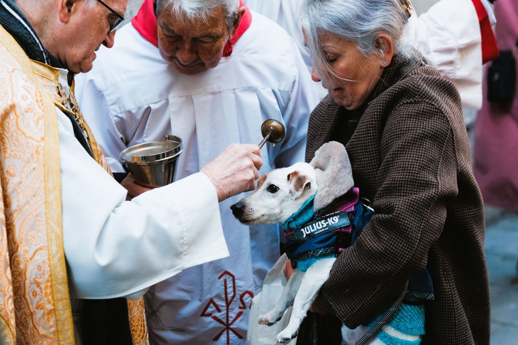 rome-blessing-of-the-animal-event-in-january.jpg