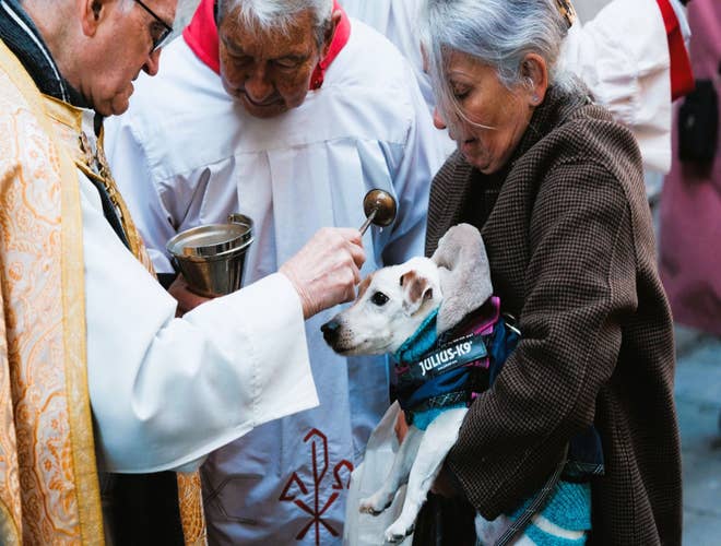 rome-blessing-of-the-animal-event-in-january.jpg