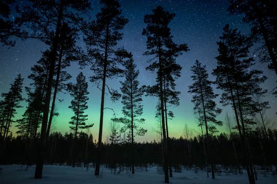 Finland in February: A Complete Winter Travel Guide