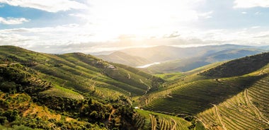 Discover Northern Portugal - Premium Adventure