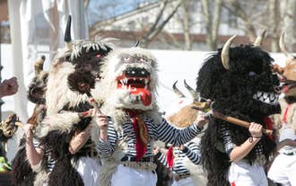 Ljubljana in February: Winter Highlights & Must-Dos