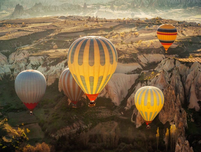 shutterstock_2417315537 (1).jpg