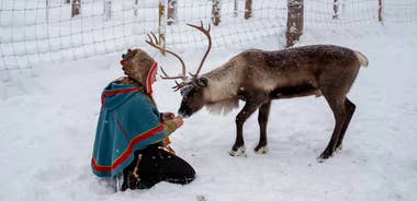 Arctic Serenity Adventure 7 Days