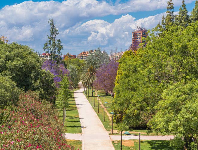 shutterstock_2463960389 (1).jpg