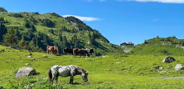 Allgäu & Lechtal Alps 7 Days