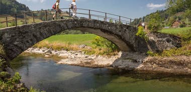 Alpine Panorama Trail - Lake Constance, Appenzell & Toggenburg 8 Days