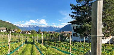 From Merano to Lake Garda 8 Days - Charming 8 Days