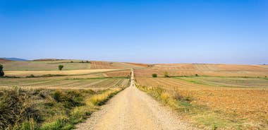 French Way of Saint James from Burgos to León (11 days)