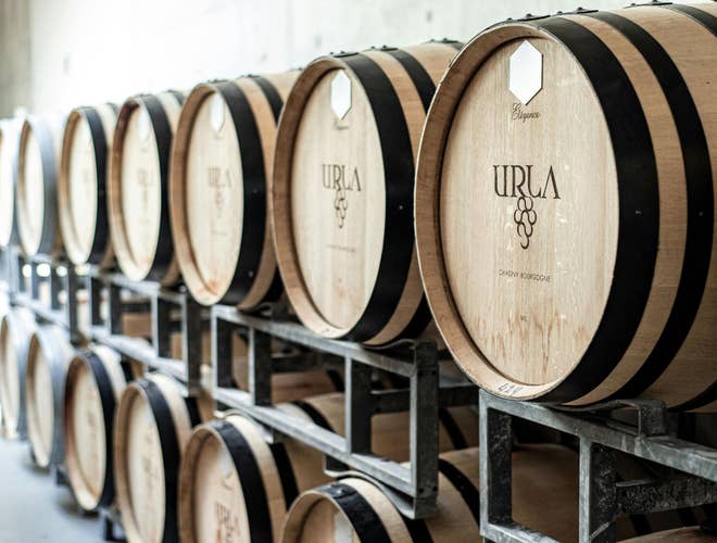 Urla wine barrels.jpg