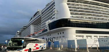 Full-Day Excursion from Vigo to Santiago - Cruisers Only