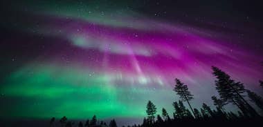 Rovaniemi: Northern Lights Tour w/ Guaranteed View & Photos