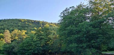 Sarajevo: Stojčevac Nature Walk