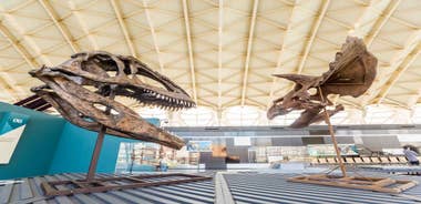 Valencia: Oceanogràfic & Science Museum Combo