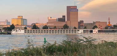 Basel: Fancy a bike tour through 3 countries in 60 minutes?