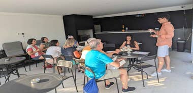 Novi Sad: Fruška Gora Wine Tasting with Local Bites