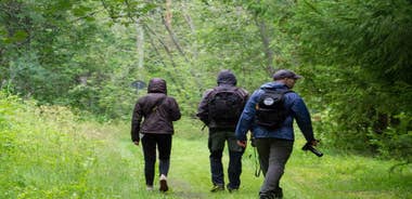 Oulu: Hietasaari Wildlife Hike with Nature Guide All Seasons