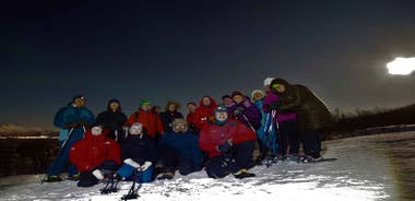 Narvik: Snowshoeing under the Arctic Lights