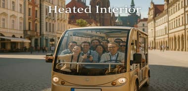 Wrocław Dwarfs & Sightseeing Tour by Electric Mini Bus