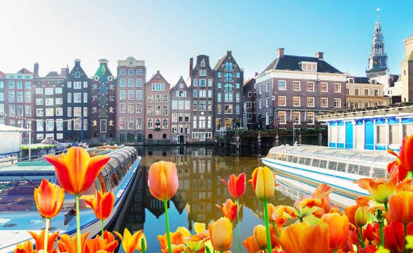 Amsterdam in April: Tulips, Festivals, and Things To Do