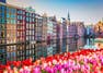 Amsterdam in April: Tulips, Festivals, and Things To Do