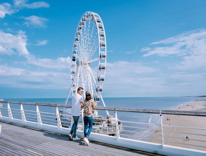 shutterstock_1971426146 (1).jpg