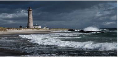 Skagen Shore Excursion from Cruise Port. German Speaking Guide.