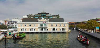 From Coimbra: Tour to Aveiro, Costa Nova beach and Moliceiro boat