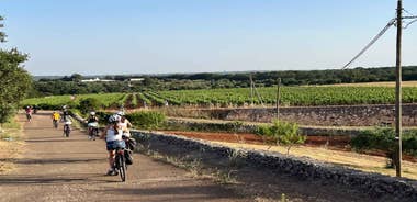 Locorotondo: E-Bike Tour to Alberobello with Ice Cream