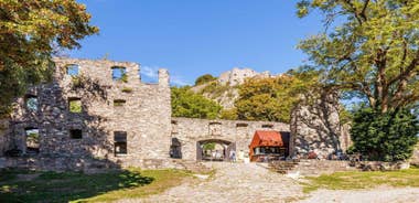 Singen: Guided tour of the Hohentwiel fortress ruins with a castle researcher