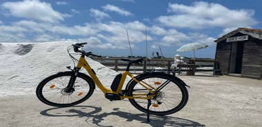 Aveiro: E-Bike Tour with Local Guide