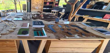 From Evora: Prehistoric Monuments and City Tour