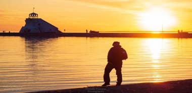 Oulu: Hietasaari Nature Tour with Local Guide