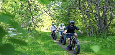 Oulu: Cultural Bike Tour