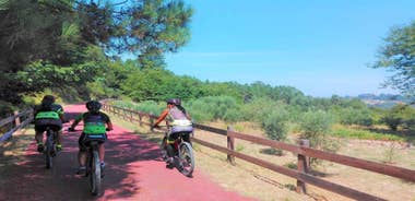 From Coimbra: Cycling on the Dão Ecotrail