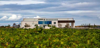 BODEGAS PANDORA: tour through the vineyards and winery with wine tasting.