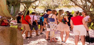 L'Oulibo oil mill: Guided tour