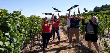 From Porto: Douro Valley Tour with Tastings, Boat & Lunch