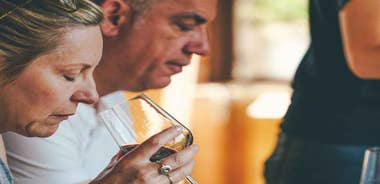 From Verona: Valpolicella and Amarone Wine Tasting Tour