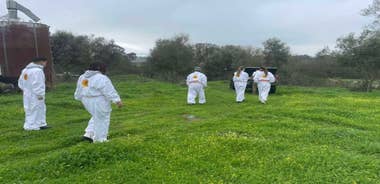 Évora or Montemor: Beekeeping Guided Tour with Honey Tasting