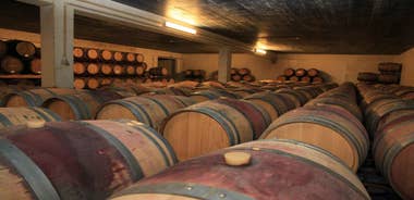 Arrabida Wine Tour - Lisbon: Wineries-Tastings-Tile Factory