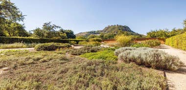 Singing: Guided herb tour "Wild herbs on the banks of the Aa"