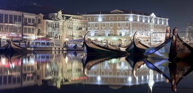 Panoramic Boat City Tour in Aveiro
