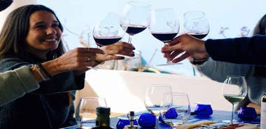 Casa Relvas, Évora - Visit to the Winery with Portuguese Grape Variety Tasting and Tapas