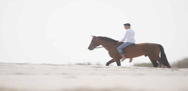 Aveiro: Beach Horseback Riding Experience