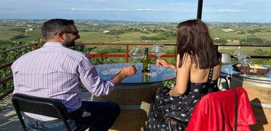 Langhe & Monferrato: Vineyard Tour and Wine Tasting