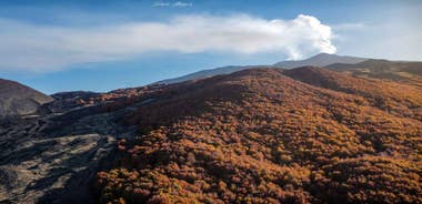 From Catania: Mt. Etna, Wine and Alcantara Tour with Lunch