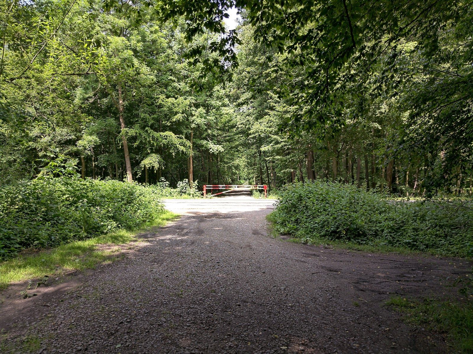 Žebračka, Přerov, okres Přerov, Olomouc Region, Central Moravia, Czechia