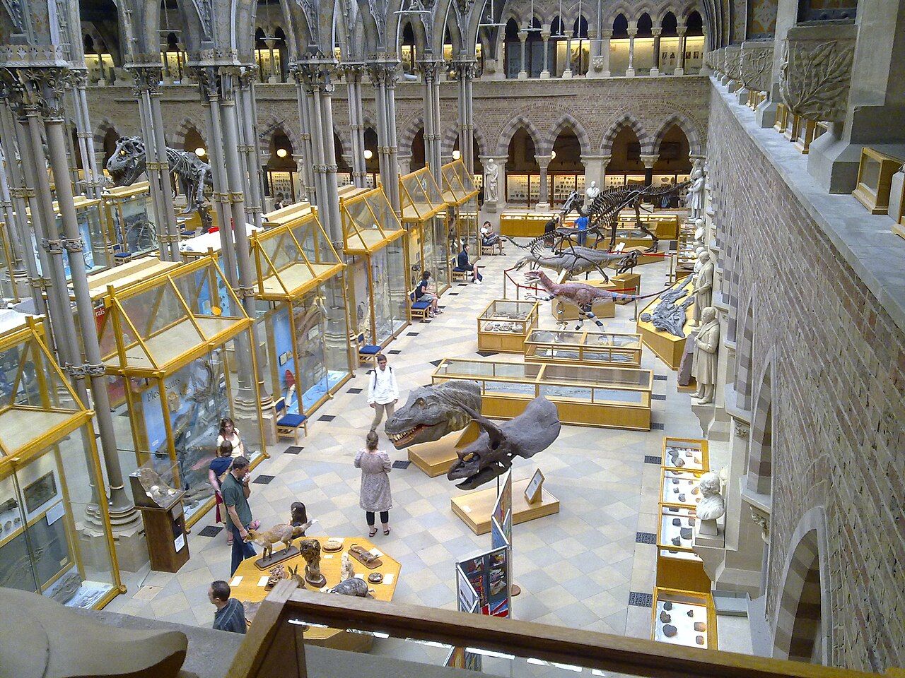 Photo of the interior of Natural History Museum of the University of Oxford, United Kingdom.