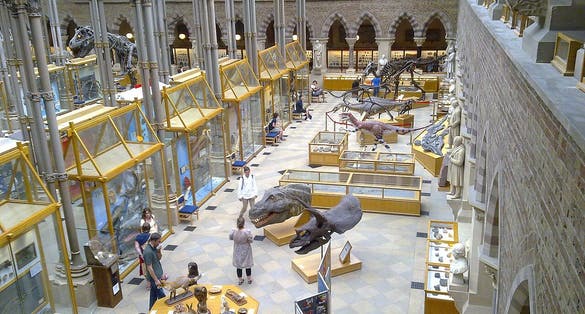 Photo of the interior of Natural History Museum of the University of Oxford, United Kingdom.
