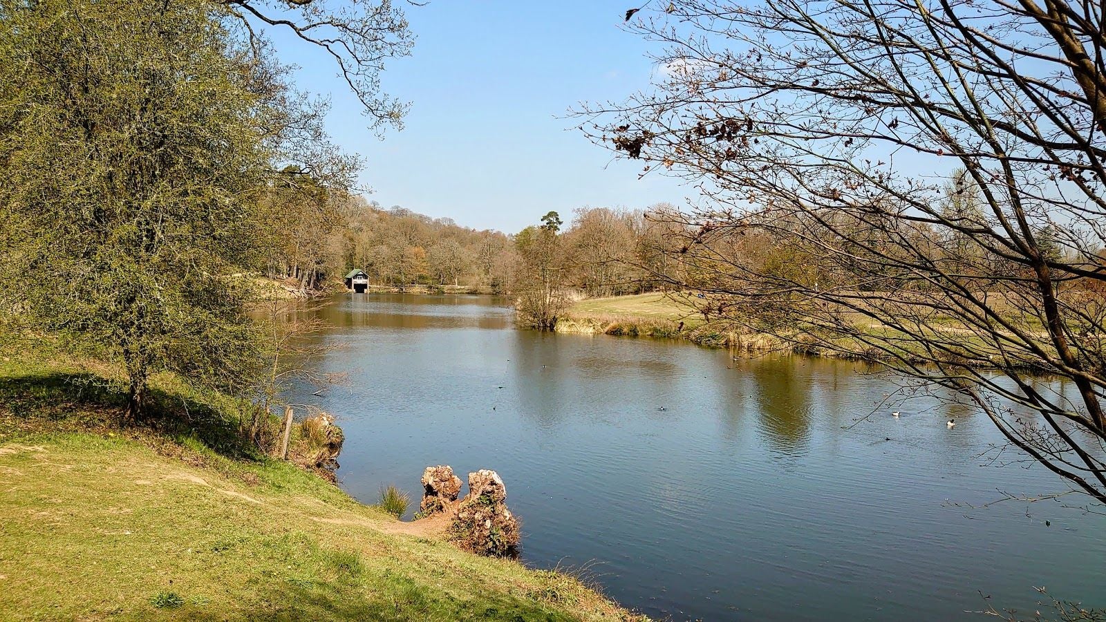 National Trust - Winkworth Arboretum, Busbridge, Waverley, Surrey, South East England, England, United Kingdom
